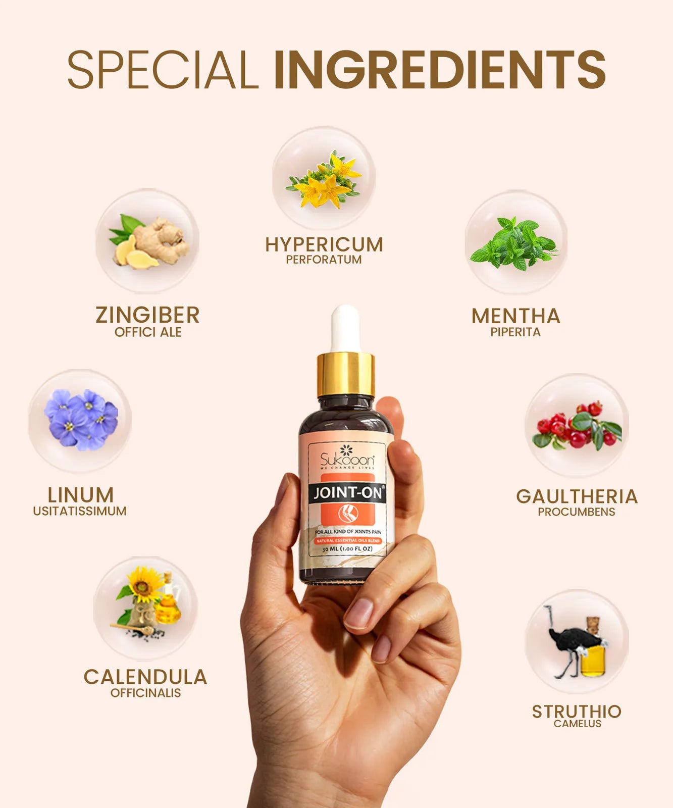 Joint On Oil β Knee & Back Pain Relief